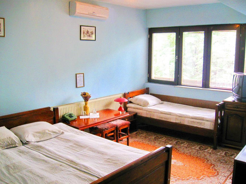 Amfora Rooms Caribrod 디미트로프그라드 객실 사진